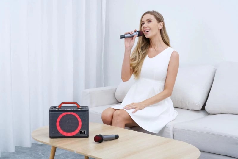 WinBridge T8 Ultra-Portable Karaoke Speaker