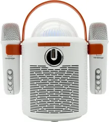 WinBridge T7 Portable Karaoke Speaker
