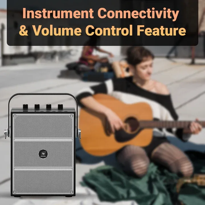 S97 60W Portable PA System with Dual Wireless Microphones | WinBridge