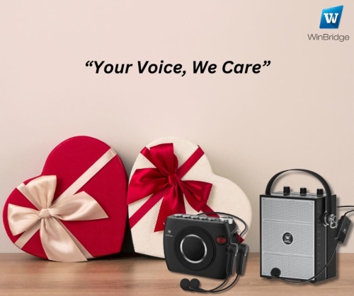 Top Reasons to Choose a Voice Amplifier