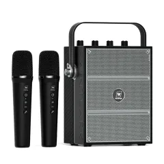 WinBridge S99 Karaoke Speaker