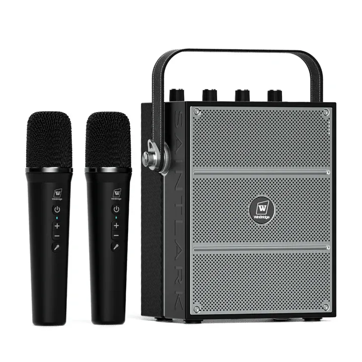 WinBridge S99 Karaoke Speaker