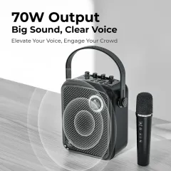 WinBridge S100 Karaoke Speaker