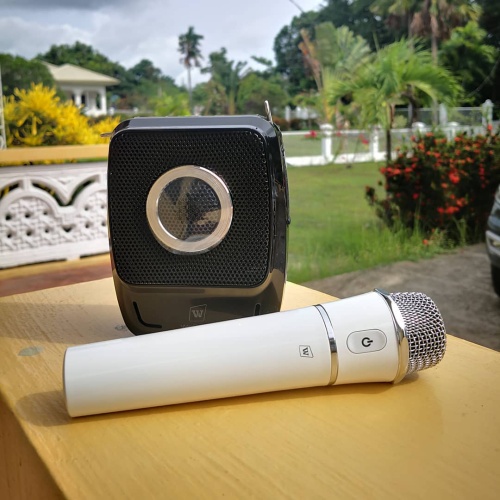 WinBridge Handheld Microphone: Amplify Your Voice with Superior Sound Quality