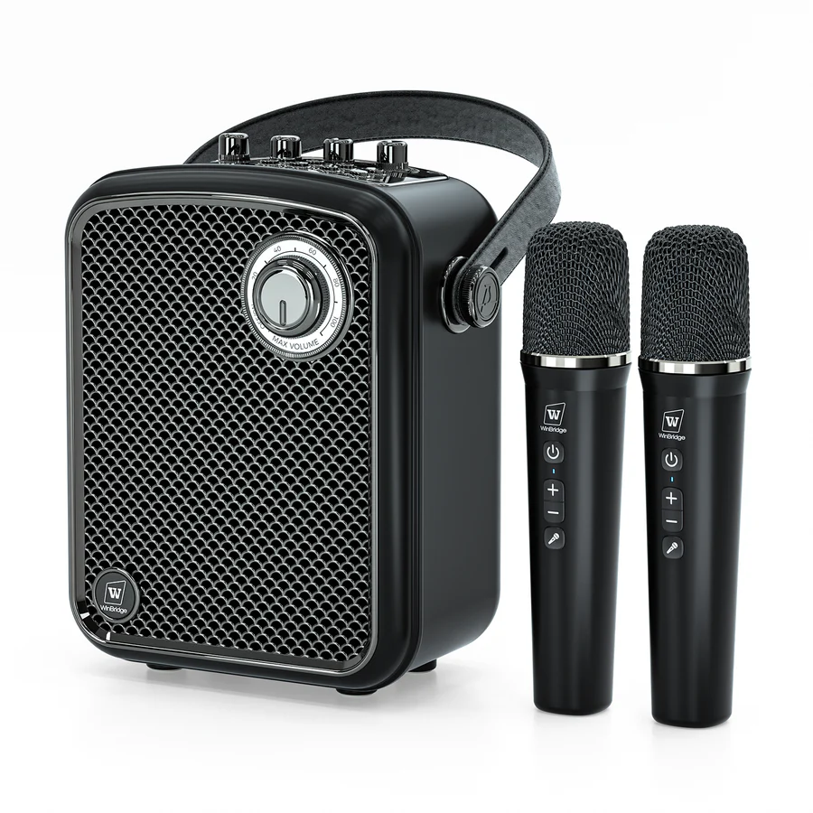 Professional Karaoke Amplifier with Bluetooth for Home Party