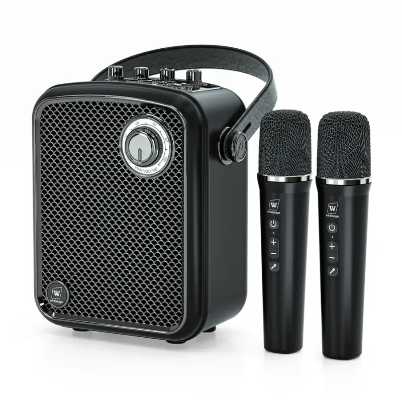 S100 Pro 70W Wireless PA System with Dual Microphones | WinBridge