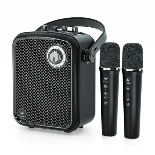 Professional Karaoke Amplifier with Bluetooth for Home Party