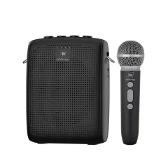 WB009 Wireless Voice Amplifier with Handheld Mic – Portable Bluetooth PA Speaker | WinBridge