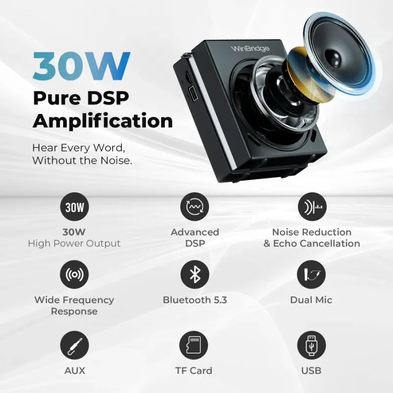S91 30W Dual Mic Portable PA System – Wireless Voice Amplifier & Karaoke Speaker | WinBridge