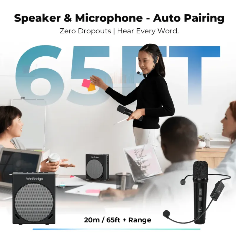 S91 30W Dual Mic Portable PA System – Wireless Voice Amplifier & Karaoke Speaker | WinBridge