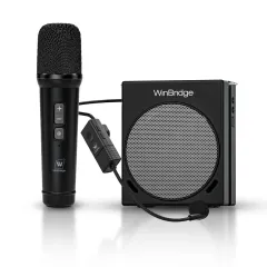 S91 30W Dual Mic Portable PA System – Wireless Voice Amplifier &amp; Karaoke Speaker | WinBridge