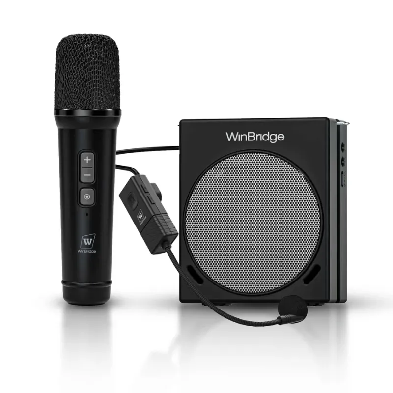 S91 30W Dual Mic Portable PA System – Wireless Voice Amplifier & Karaoke Speaker | WinBridge