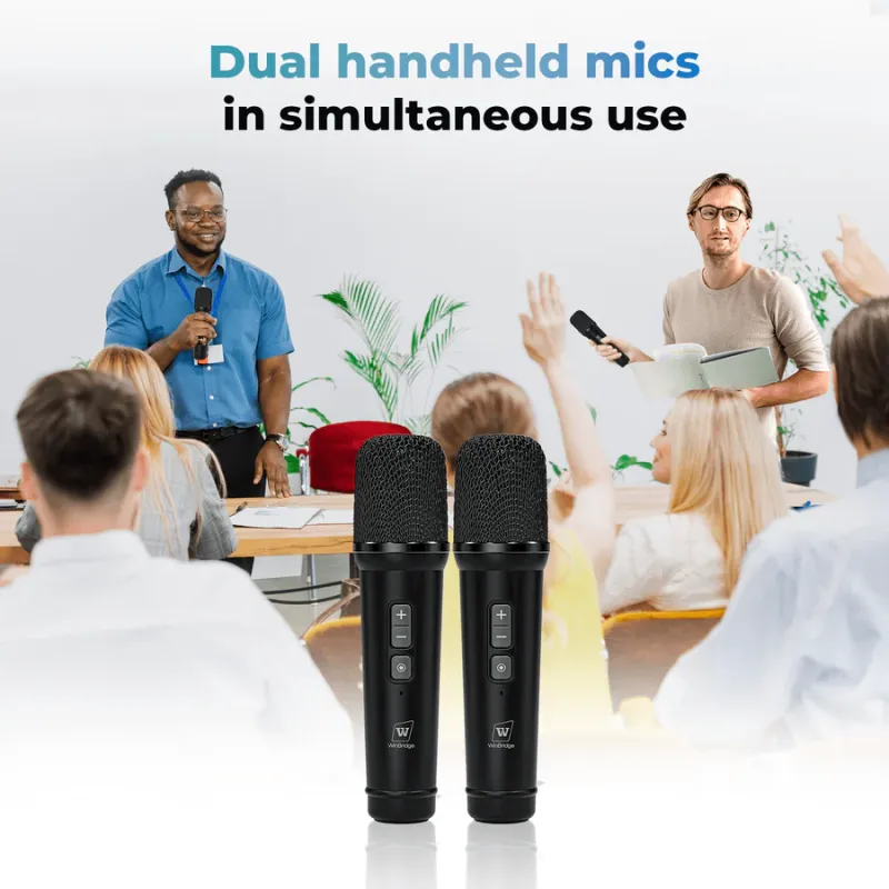 S90 30W Dual Mic Portable PA System – Wireless Voice Amplifier & Bluetooth Speaker | WinBridge
