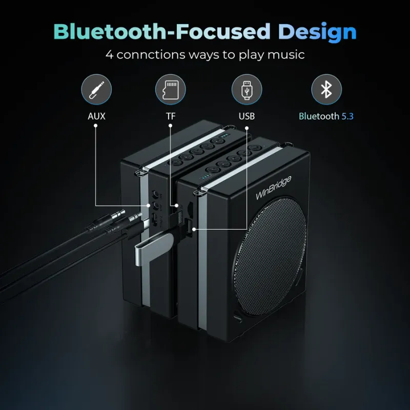 S90 30W Dual Mic Portable PA System – Wireless Voice Amplifier & Bluetooth Speaker | WinBridge