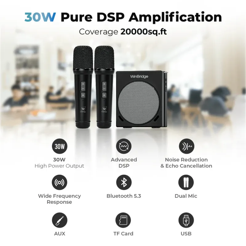 S90 30W Dual Mic Portable PA System – Wireless Voice Amplifier & Bluetooth Speaker | WinBridge