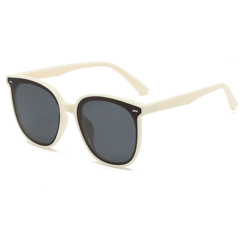 Hot sale new arrivals stylish TR90 frame shade retro classic sunglasses polarized