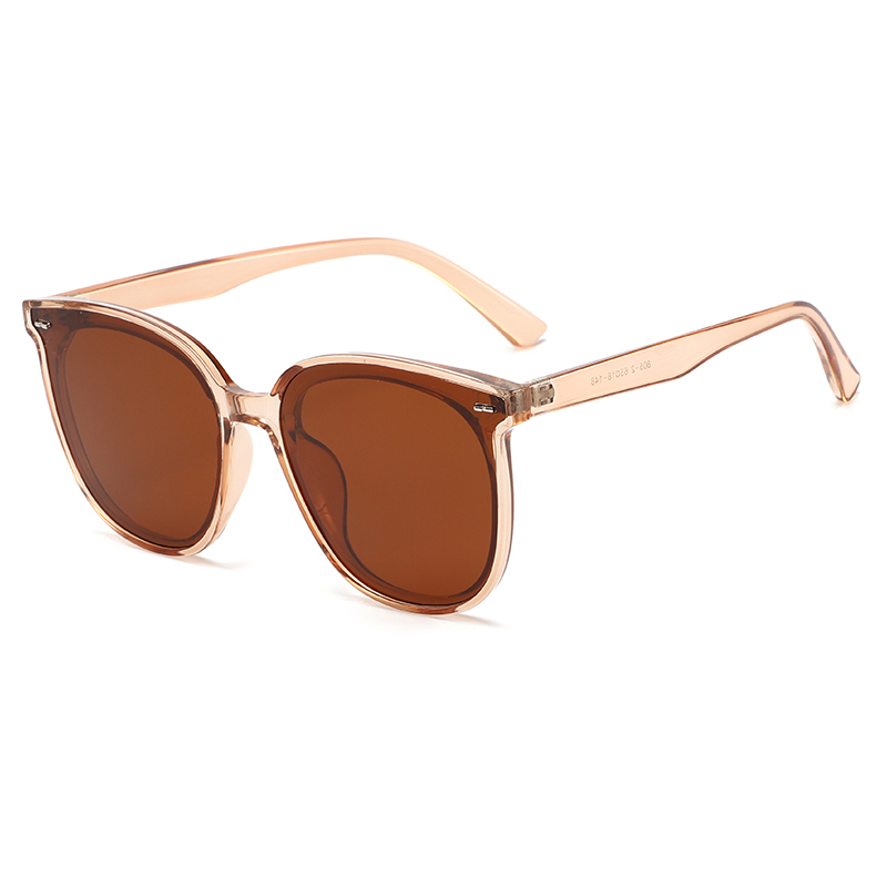 Hot sale new arrivals stylish TR90 frame shade retro classic sunglasses polarized