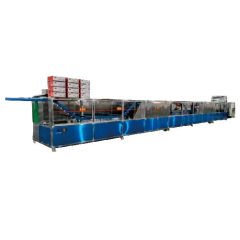 Automatic Ultrasonic Cleaning Machine Double Row