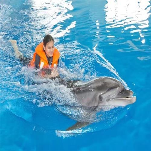 Dubai Dolphinarium