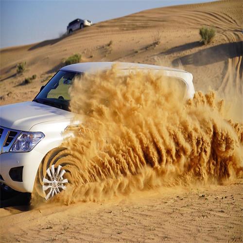 Desert Safari