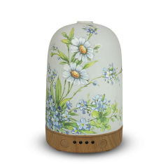 Humidifier of chrysanthemum fragrance machine