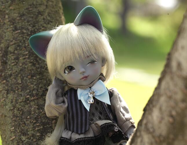 【STOCK】w.luna latidoll lati yellow Alice In Wonderland 2020 ver. Chesire Cat