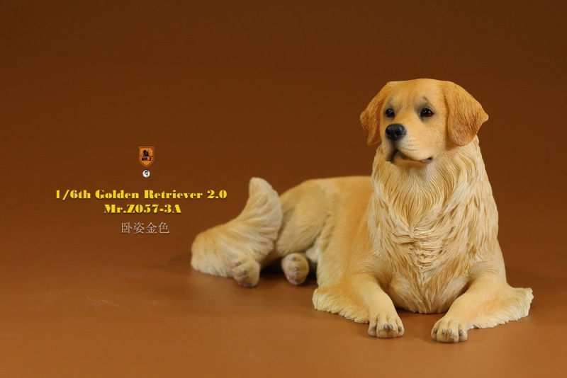 【pre-order】MR. Z Animal Model No.57: 1/6th Golden Retriever 2.0