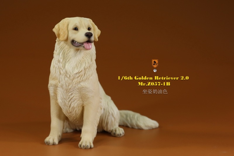 【pre-order】MR. Z Animal Model No.57: 1/6th Golden Retriever 2.0