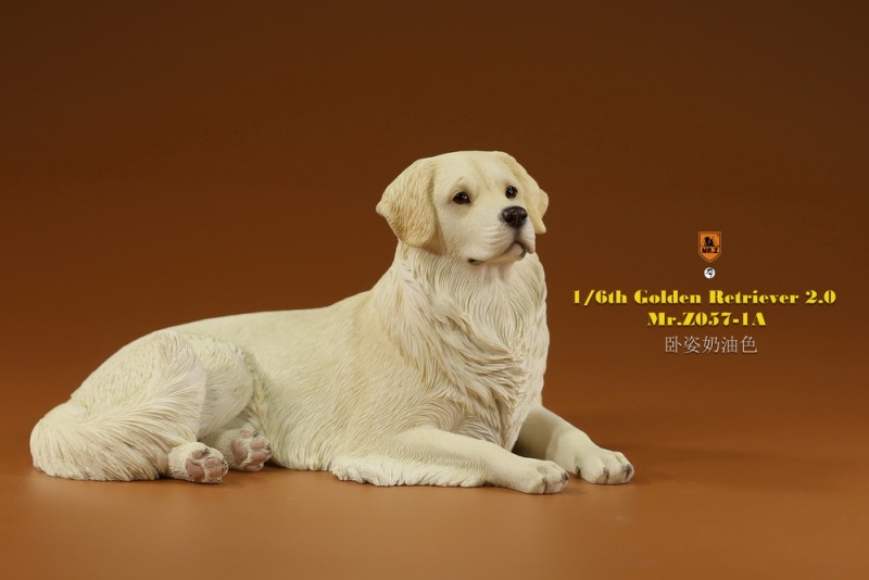 【pre-order】MR. Z Animal Model No.57: 1/6th Golden Retriever 2.0