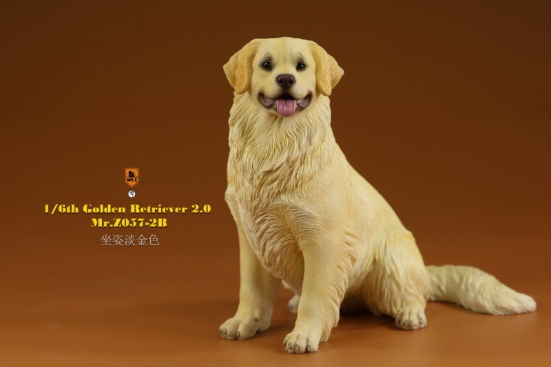 【pre-order】MR. Z Animal Model No.57: 1/6th Golden Retriever 2.0