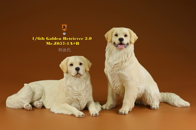 【pre-order】MR. Z Animal Model No.57: 1/6th Golden Retriever 2.0