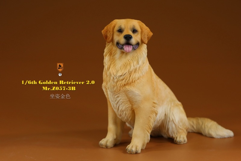 【pre-order】MR. Z Animal Model No.57: 1/6th Golden Retriever 2.0