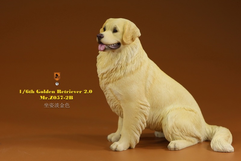 【pre-order】MR. Z Animal Model No.57: 1/6th Golden Retriever 2.0