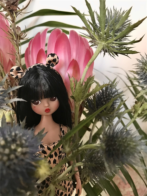 pre-order】【blommor】【leopard girl】1/6 pvc doll