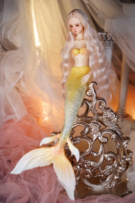 【shell&amp;mermaid tail】special version 【pre-order】【bedoll】mermaid tail