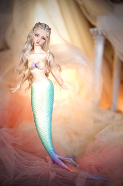 【shell&amp;mermaid tail】special version 【pre-order】【bedoll】mermaid tail
