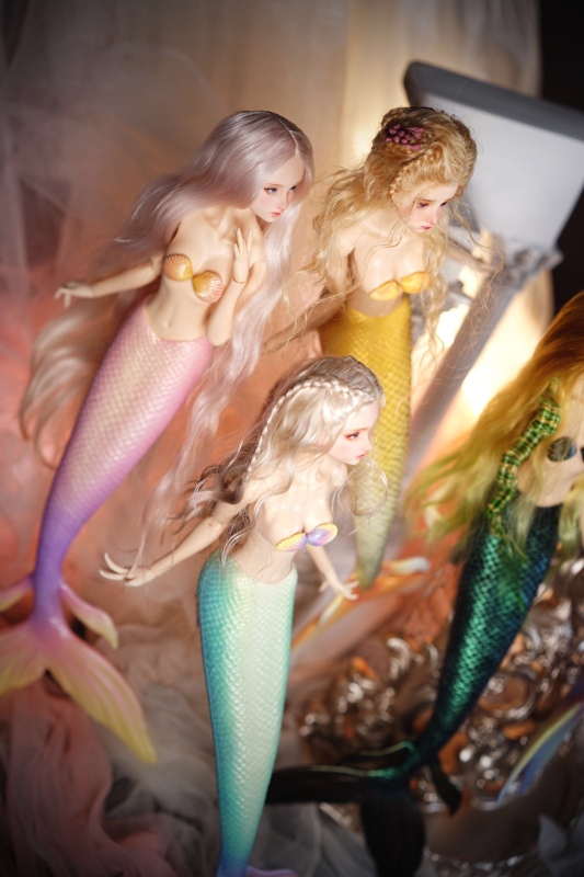 【shell&amp;mermaid tail】special version 【pre-order】【bedoll】mermaid tail