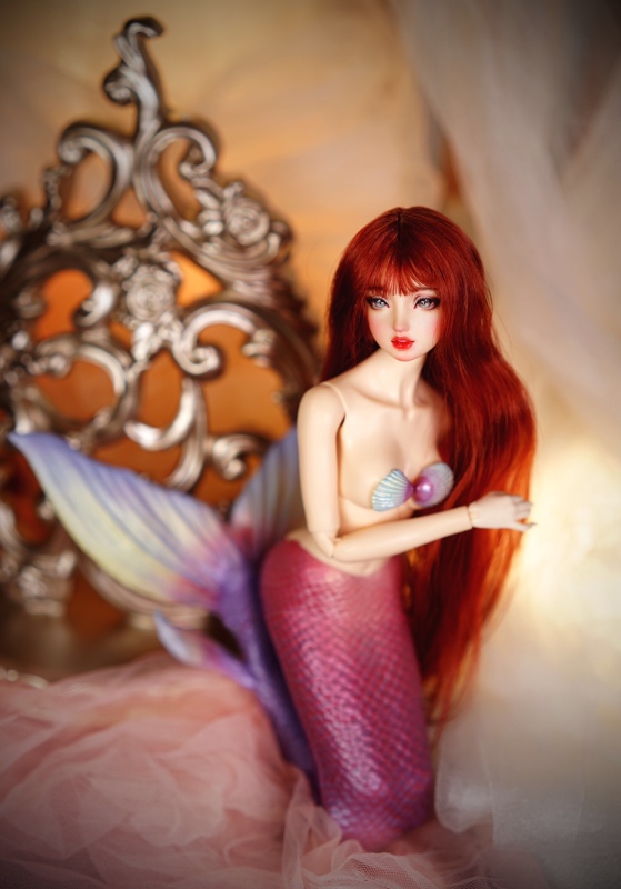 【shell&amp;mermaid tail】special version 【pre-order】【bedoll】mermaid tail