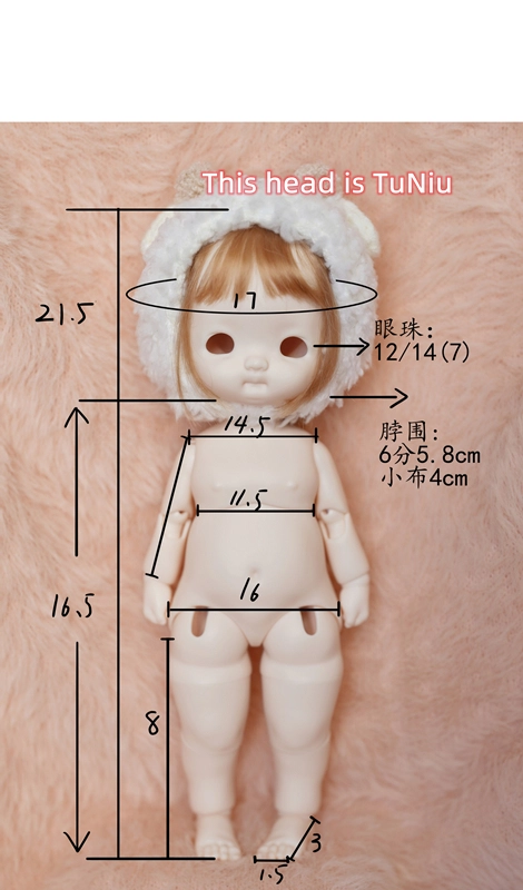 TuNiu【Small head】【pre-order】【Chat a Feuilles Studio】 BJD Doll 1/6