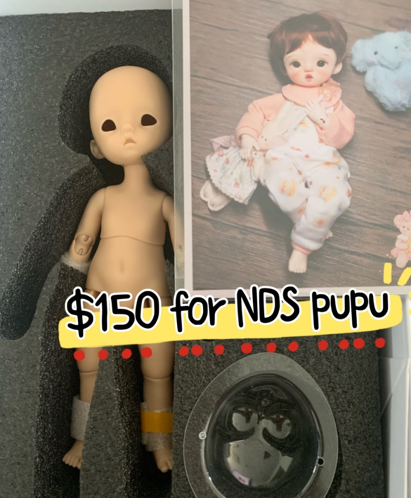 Stock duidui 1/6 bjd [pre-order] NSD bjd