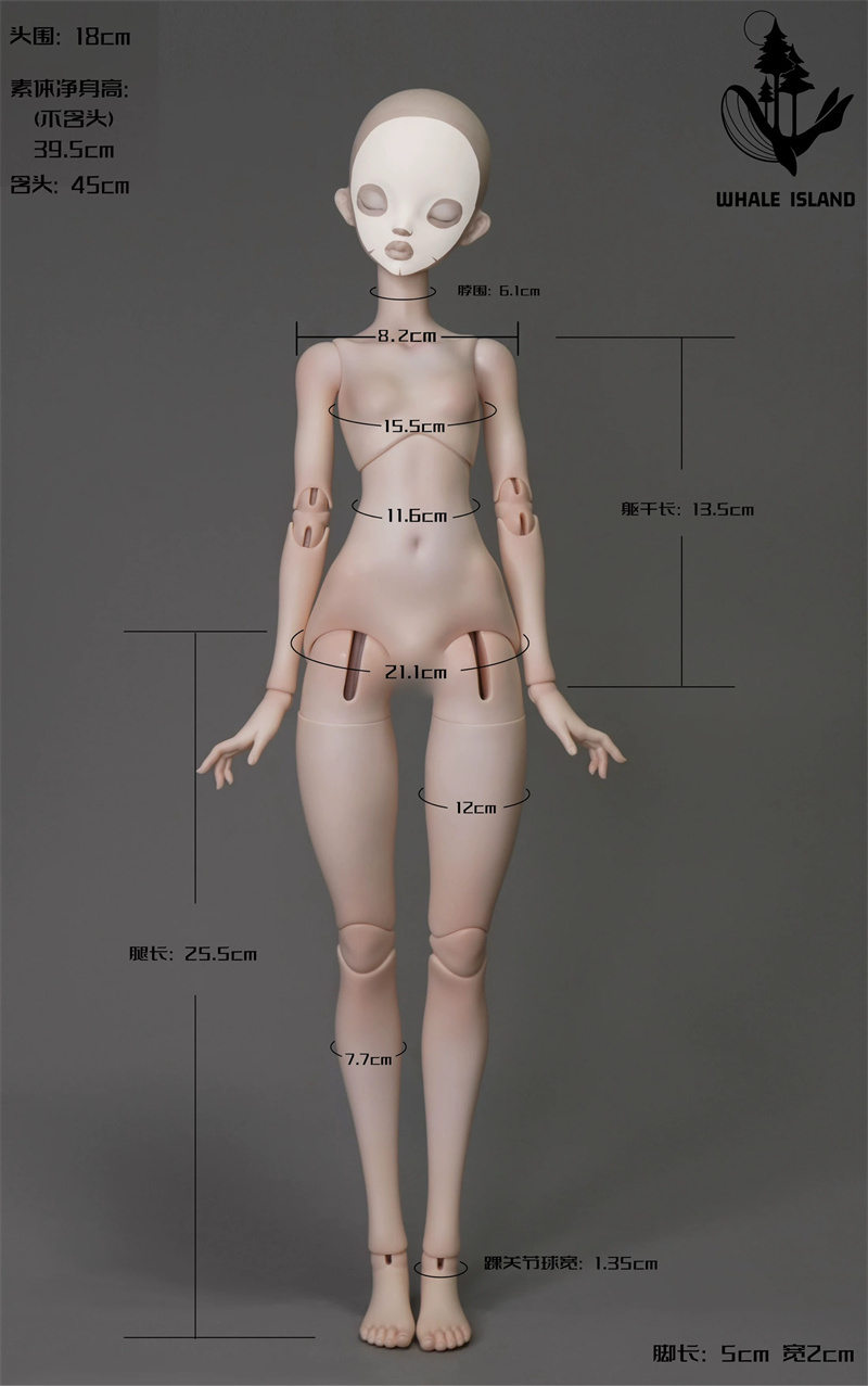 1/4 body