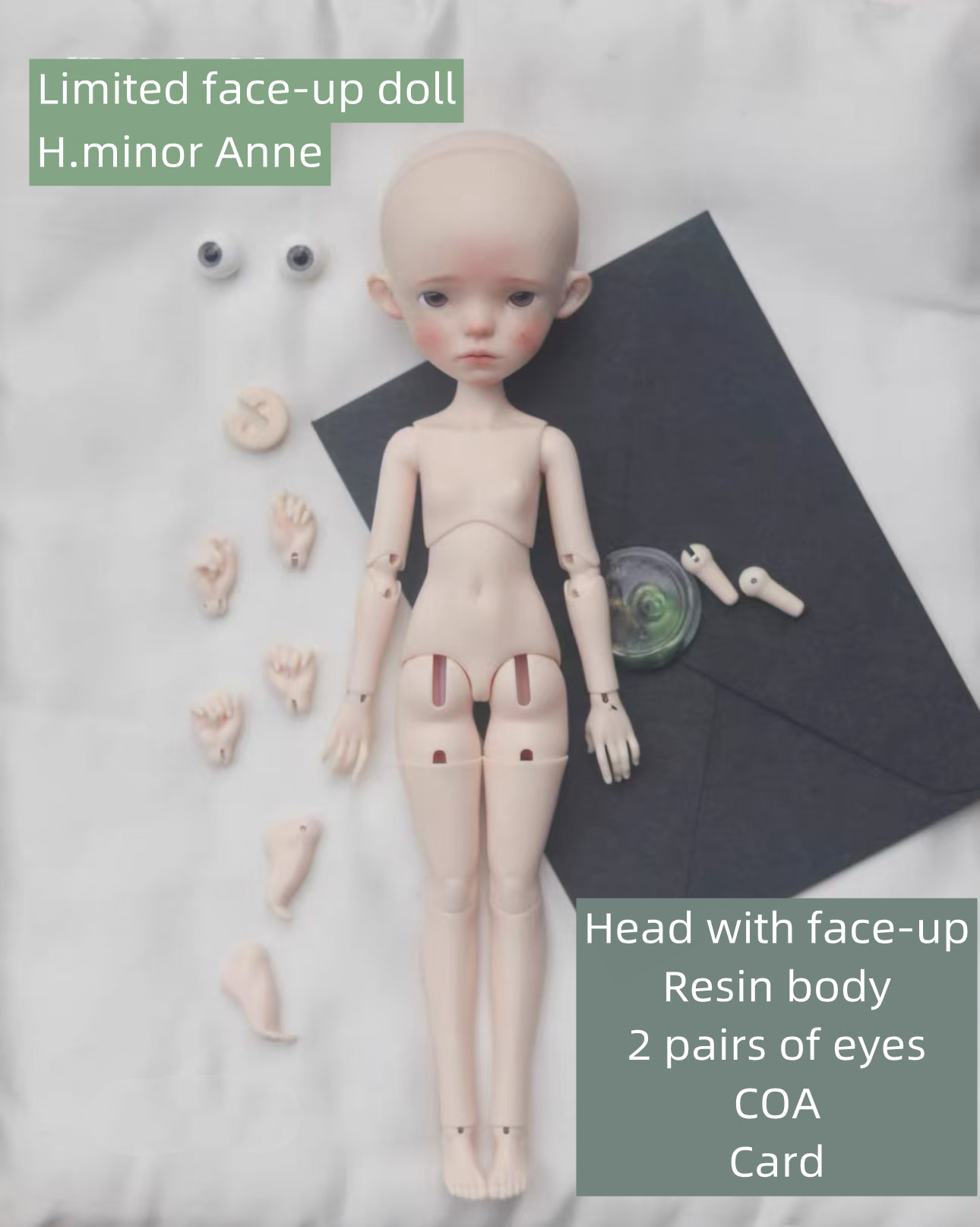 Anne 1/6 H.minor Doll hminordoll resin bjd pre-order,BJD