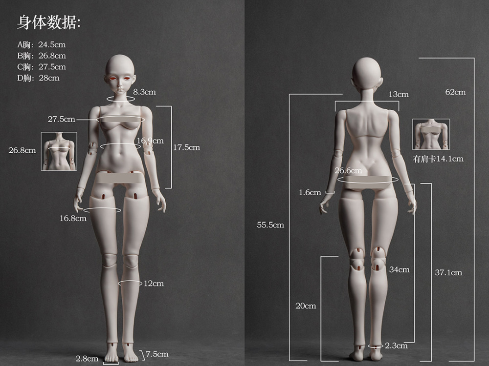 1/3（62cm）girl body human body coral reef bjd
