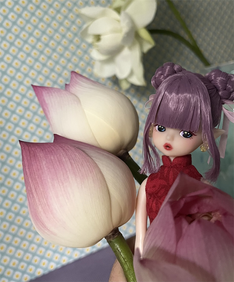 preserves limited blommor 1/6 pvc doll pre-order