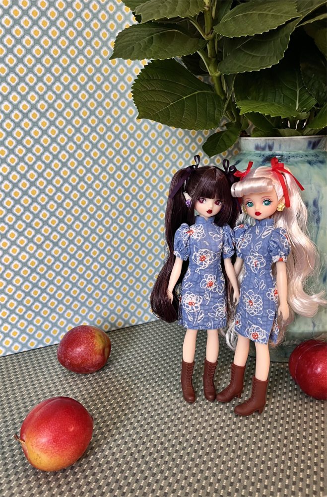 preserves limited blommor 1/6 pvc doll pre-order