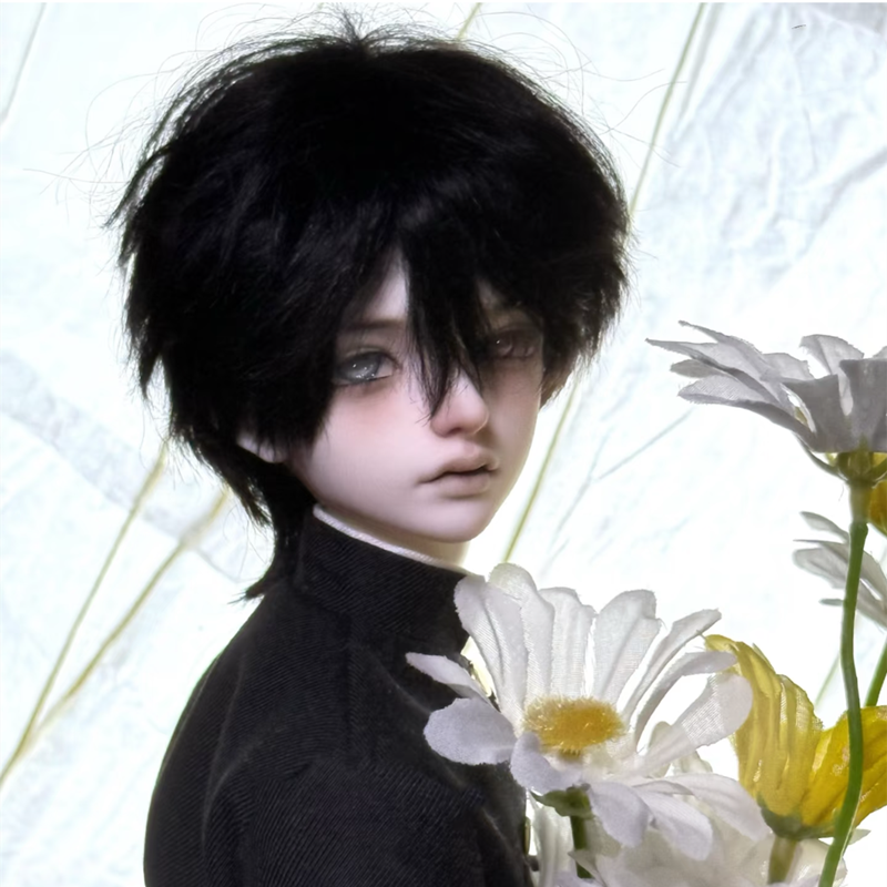 new acatbo bjd shouyi feier head bjd