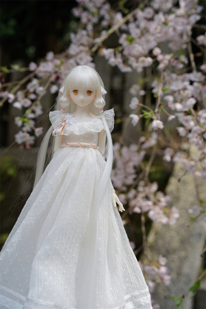 Metis doll 1/6 Chobits bjd stock