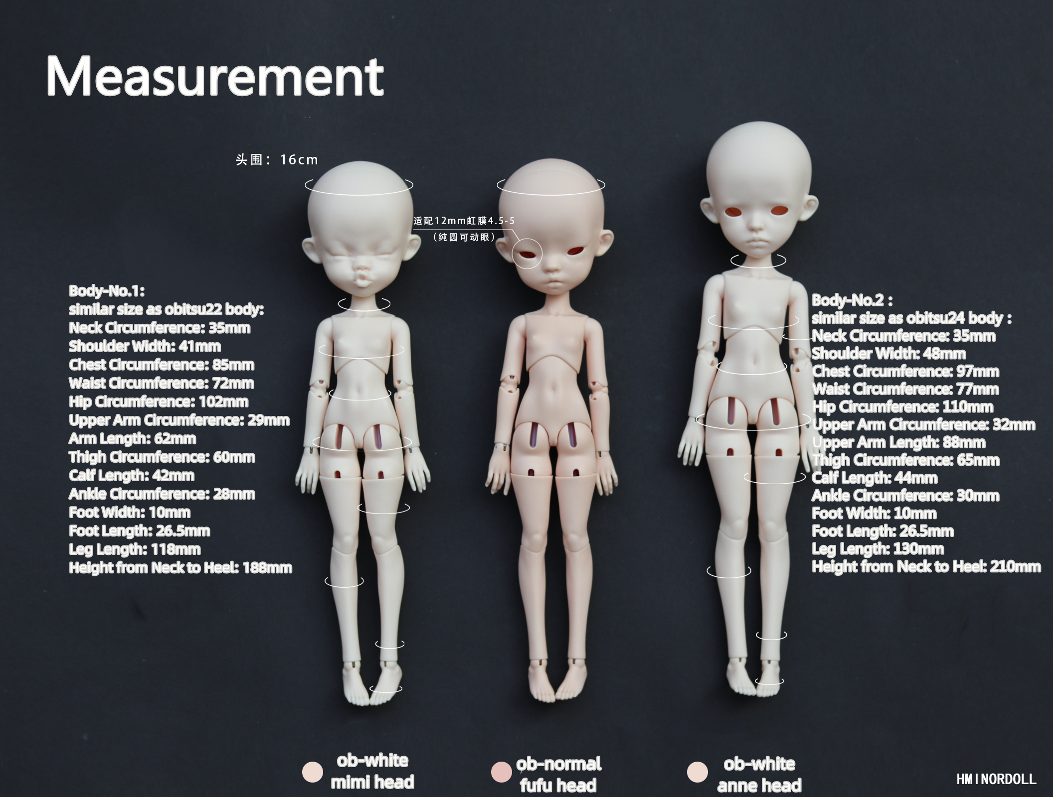 Fufu Mimi H.minor Doll hminordoll resin bjd