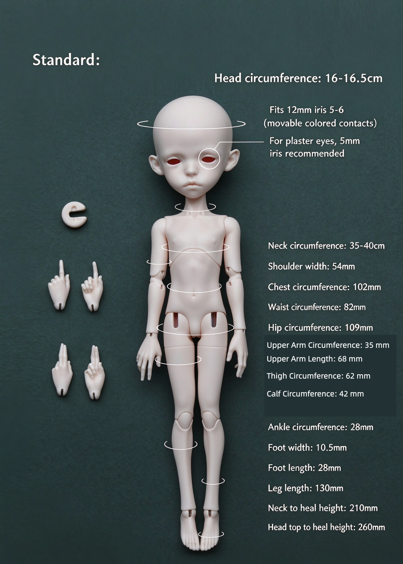 Fufu Mimi H.minor Doll hminordoll resin bjd