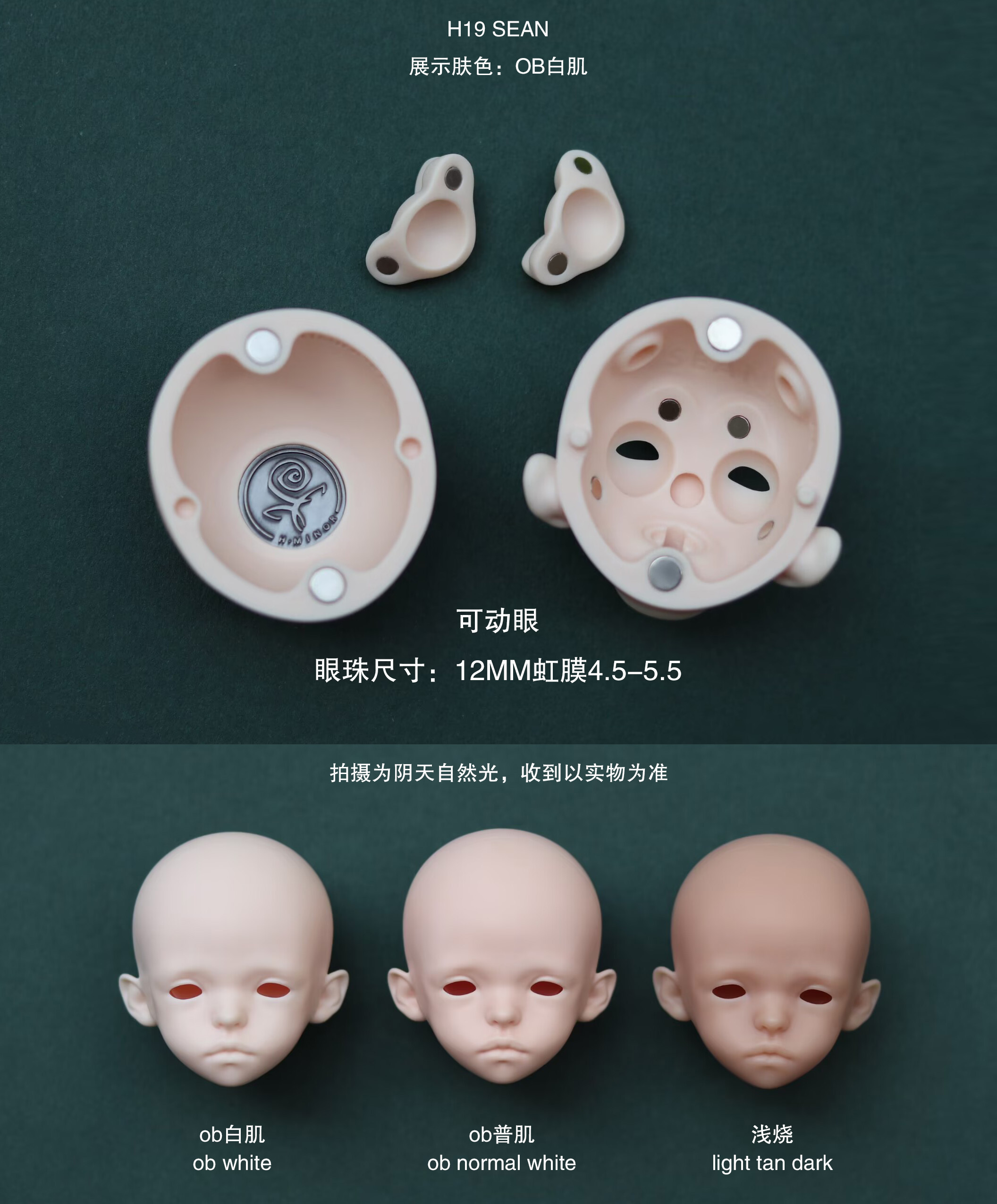 Fufu Mimi H.minor Doll hminordoll resin bjd